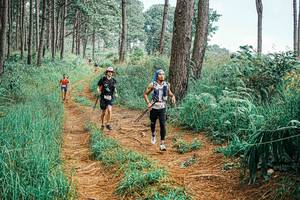 BIB: 
                            <button type="button" onclick="openModal(25656042)" class="btn btn-primary btn-sm float-right btn-popup" data-toggle="modal" data-target=".modal-high-quality">
                        <i class="fas fa-shopping-cart"></i> Add to Cart
                    </button>
                                            <button type="button" onclick="isThisMe(25656042, true)" class="btn btn-success btn-sm float-right btn-popup btn-isme hidden" data-toggle="tooltip" data-placement="bottom" title="นี่คือรูปของคุณใช่ไหม คลิกที่นี่เพื่อเอาเข้าอัลบั้ม">
                        <i class="fas fa-plus"></i> Add to album
                    </button>
                    <button type="button" onclick="isThisMe(25656042, false)" class="btn btn-warning btn-sm float-right btn-popup btn-isnotme hidden">
                        <i class="fas fa-ban"></i> Remove from album
                    </button>